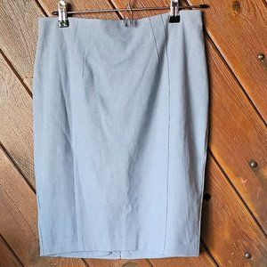 Express pencil skirt size 8 NWT